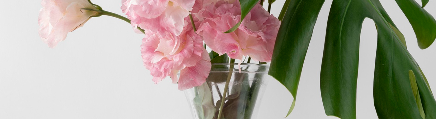 Elegant Flower Vases for Every Space