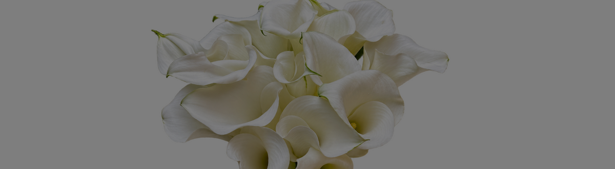 Wedding Flowers and Bridal Bouquets