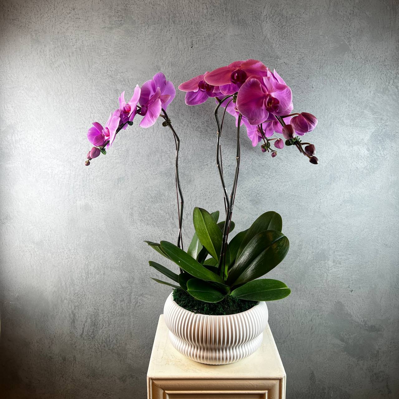 3 Stalks Artificial Potted Phalaenopsis