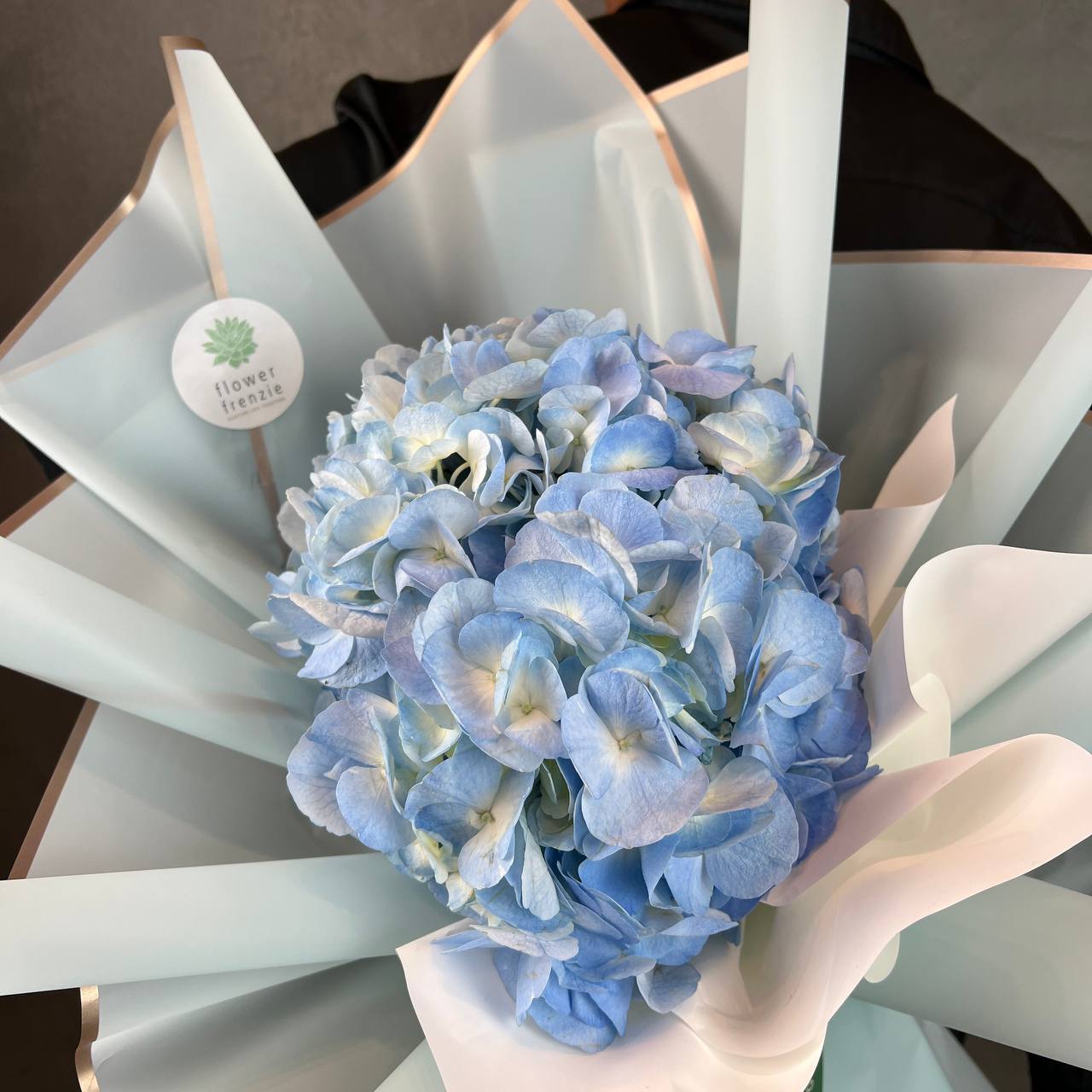 Sophia Bouquet