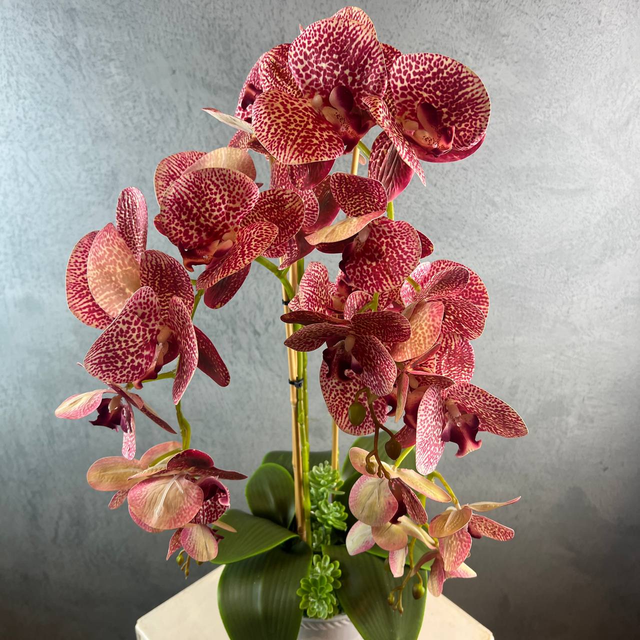 3 Stalks Artificial Potted Phalaenopsis (Maroon)