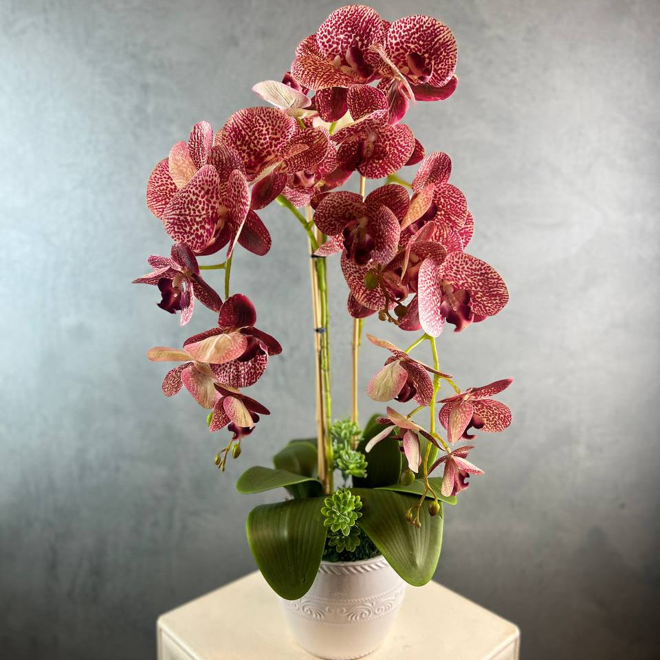 3 Stalks Artificial Potted Phalaenopsis (Maroon)