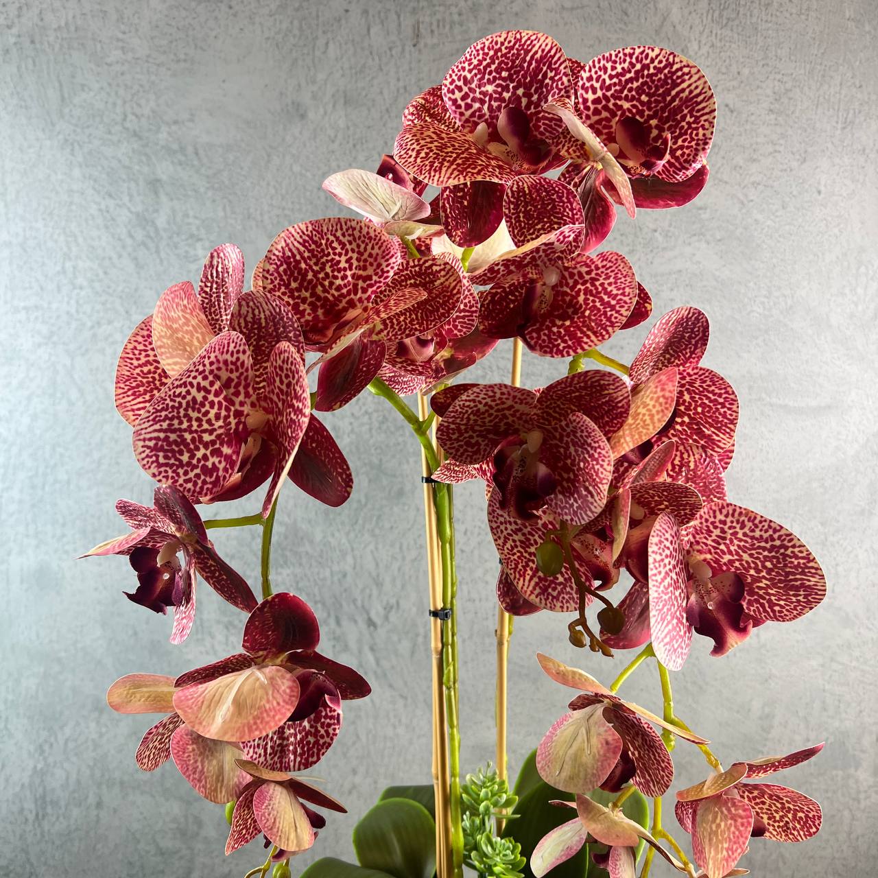 3 Stalks Artificial Potted Phalaenopsis (Maroon)