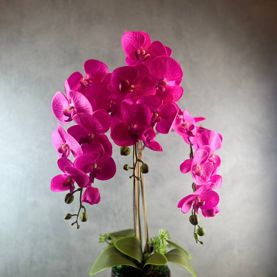 3 Stalks Artificial Potted Phalaenopsis (Pink)