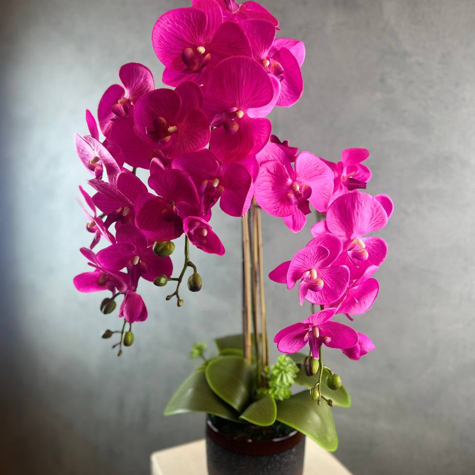 3 Stalks Artificial Potted Phalaenopsis (Pink)