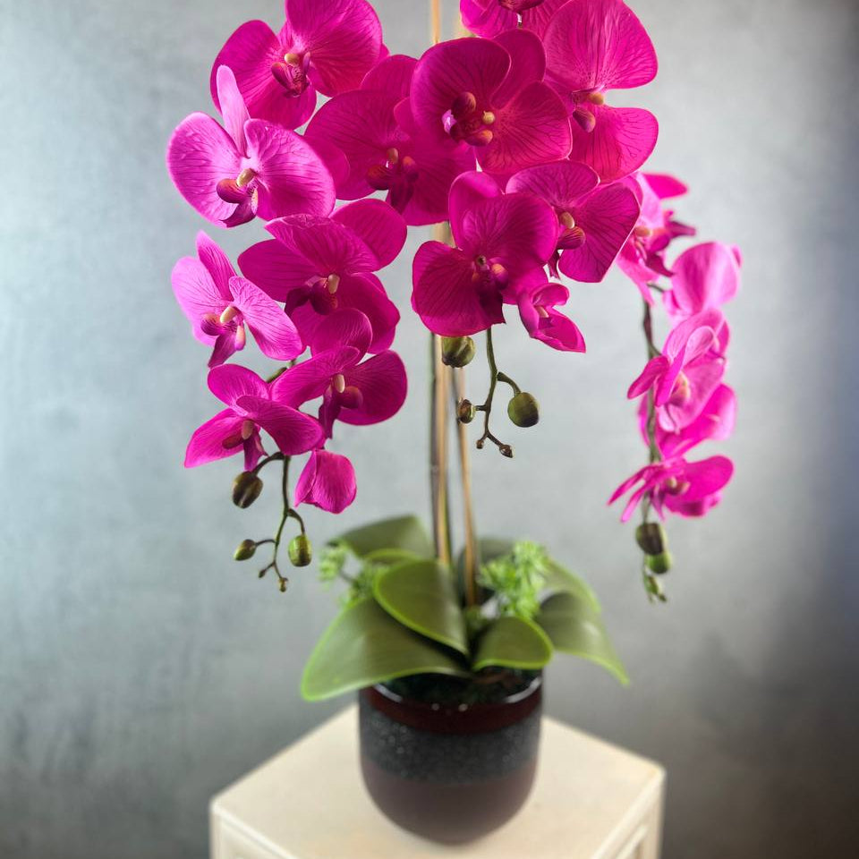 3 Stalks Artificial Potted Phalaenopsis (Pink)