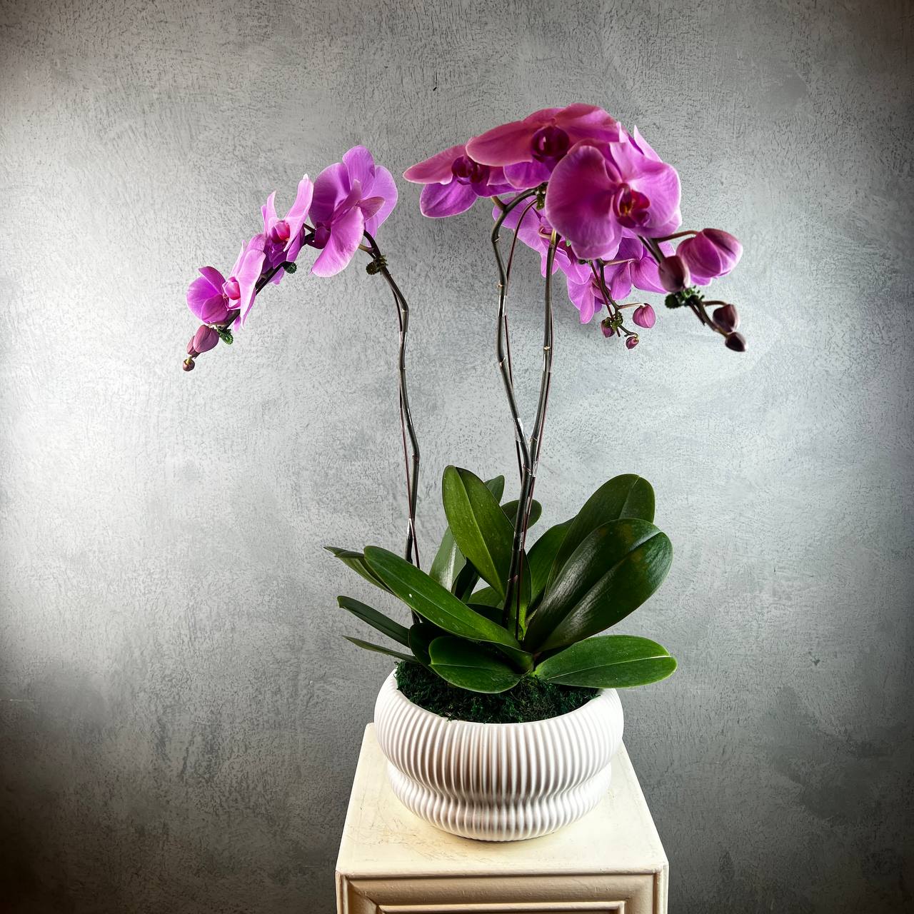 3 Stalks Artificial Potted Phalaenopsis