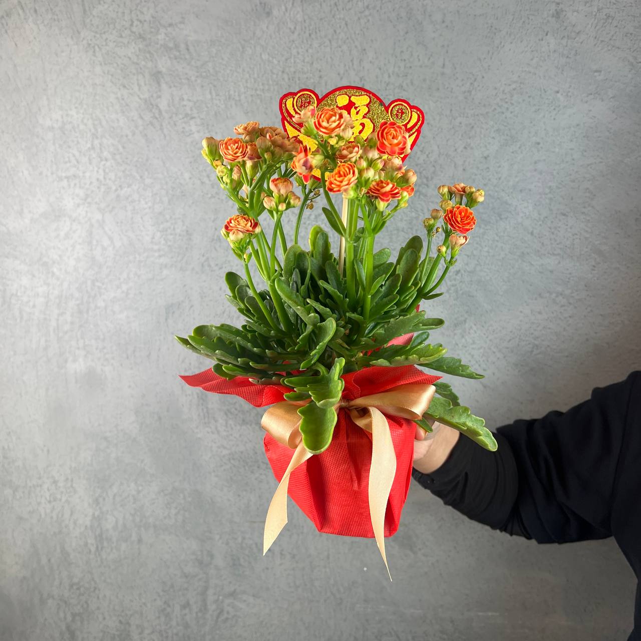 Orange Kalanchoe