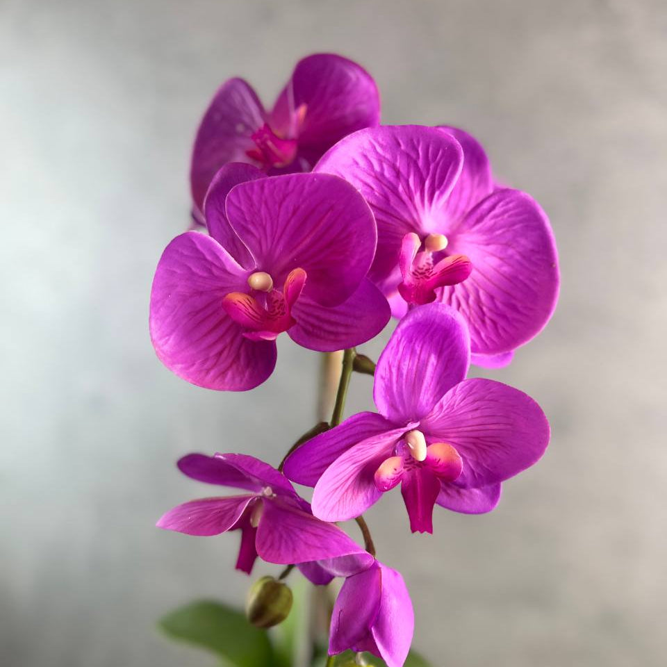 Single Stalk Artificial Potted Phalaenopsis