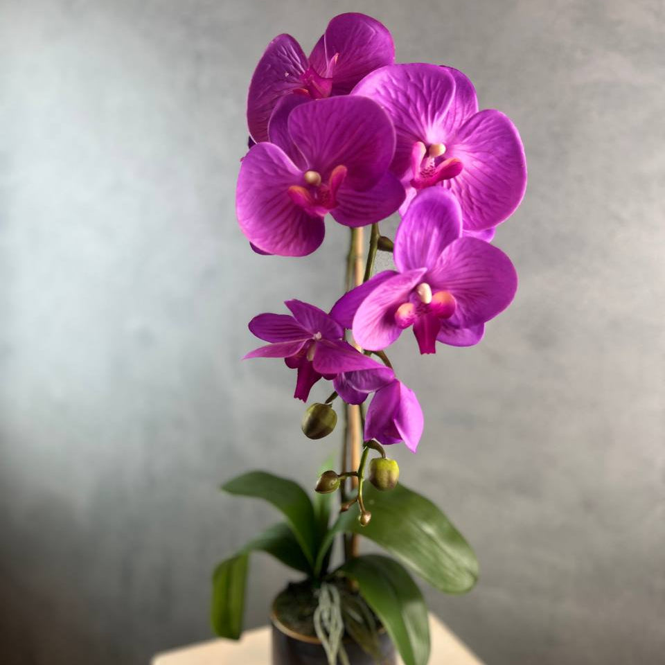 Single Stalk Artificial Potted Phalaenopsis