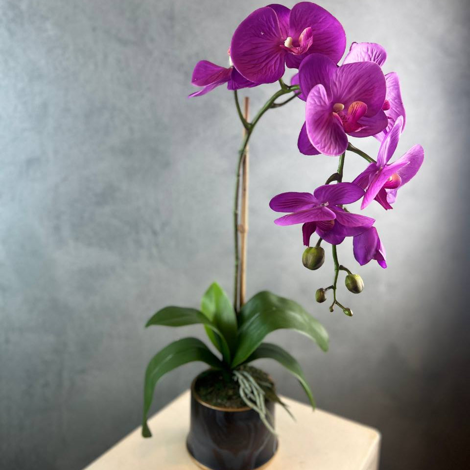 Single Stalk Artificial Potted Phalaenopsis