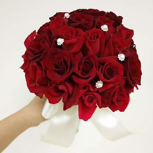 The Bridal Red Rose